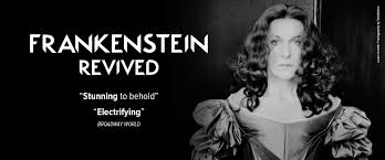  Frankenstein image